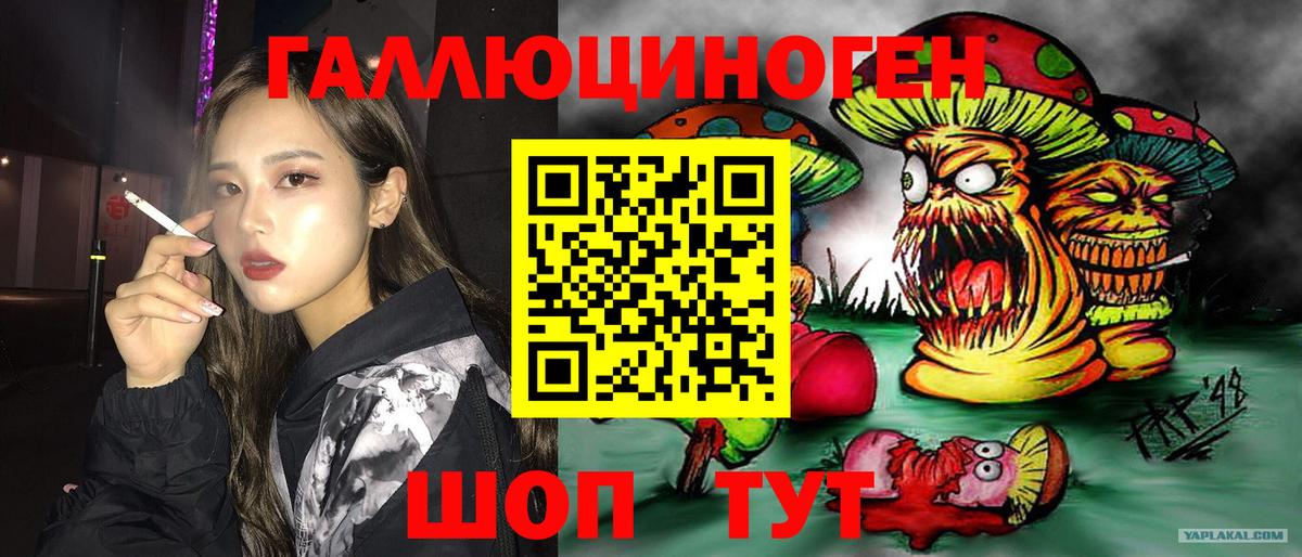 Галлюциногенные грибы Psilocybine cubensis  Вход с VPN  Александров 
